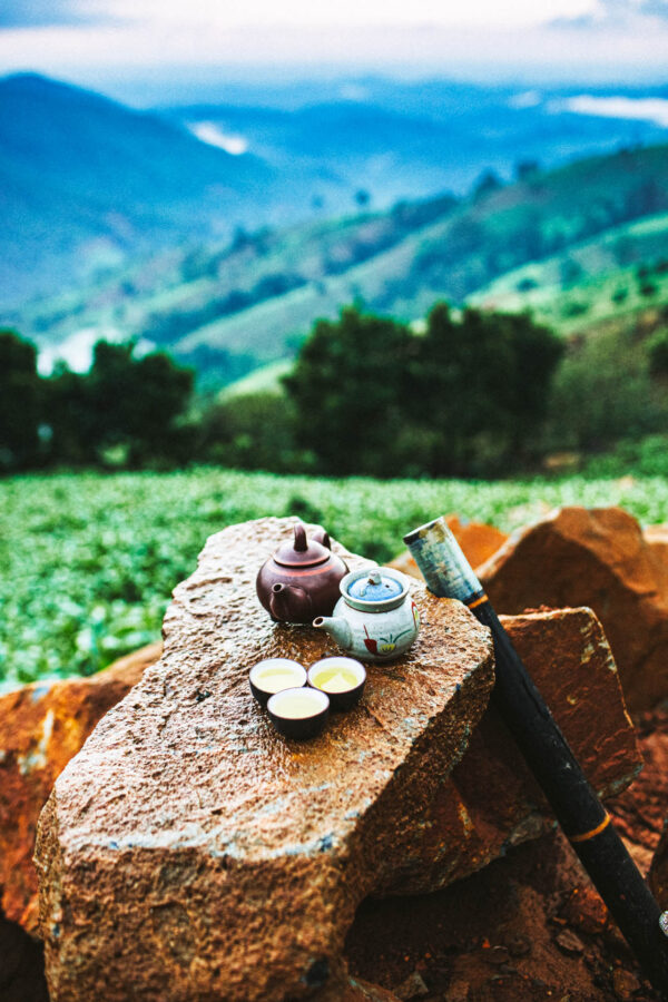 Uống trà