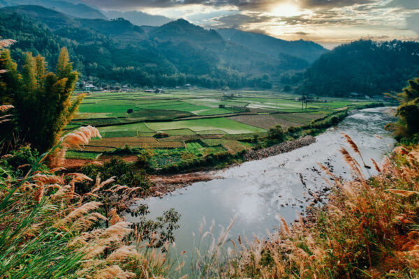 Ruộng Tây Bắc