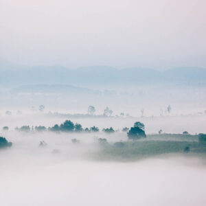 Sương sớm Di Linh